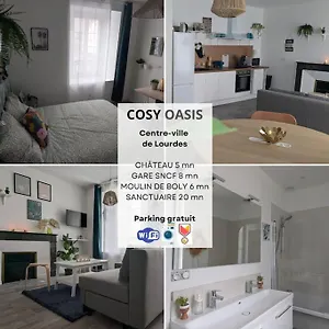 Cosy Oasis - T3 - Grande Terrasse Collective Lourdes